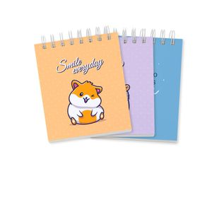 Set de Libretas Ingenial Smile X3