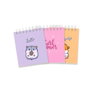Set de Libretas Ingenial Hello X3