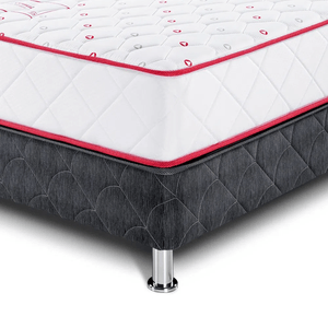 Cama PARAISO Consul 1.5 Plz +1 Almohada + Protector