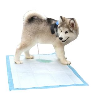 Pañales para Mascotas