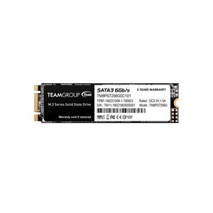 Disco Estado Solido 256g Team Group Ms30 M.2 Sata