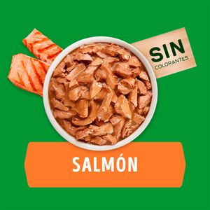 Comida para Perros DOG CHOW Adultos Razas Pequeñas Festival de Salmón 100g
