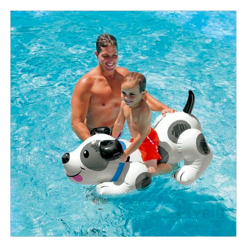 Flotador de piscina para perros y gatos, Flotador de Argentina