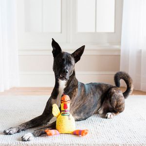 Juguete Peluche Clásico para Perros Fat Cat de Pollo Abusivo