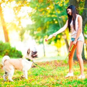 Correa Para Perro De  Malla Reflectiva Doco Silver Talla S Rojo 1.5 X 150Cm