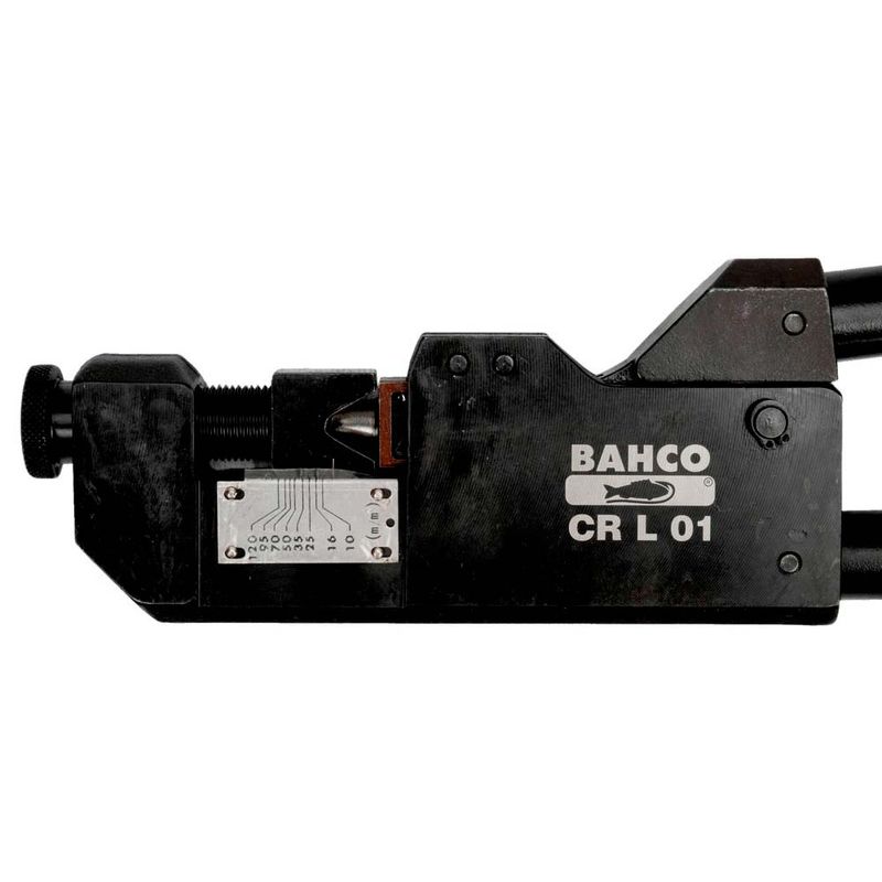 image-96fcdc37a2904ec2a7cd50dd488e4de4