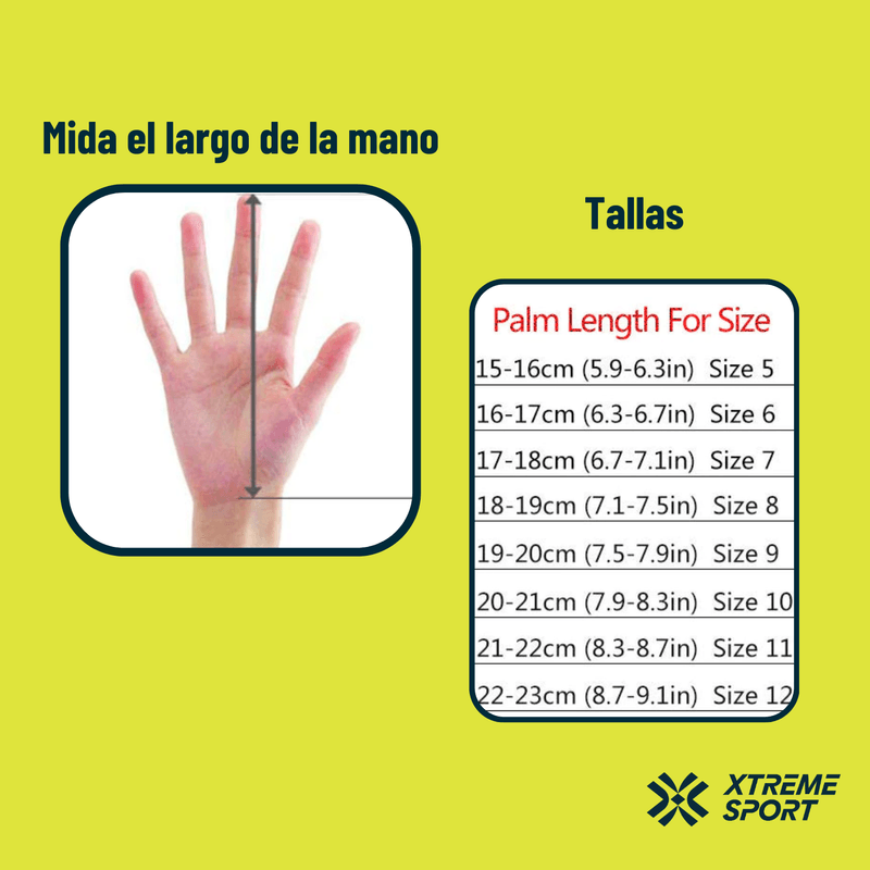 image-5d54c5e57577406da6eadaee6f089995