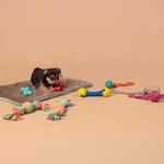 image-f4f122a8a177405b9b02991274d96b06