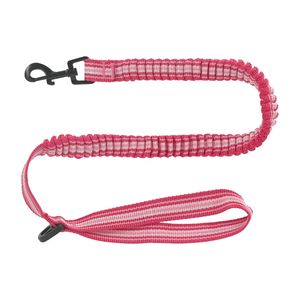 Correa Antishock para mascota