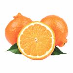 image-5fa9f2e7f29c4b449afc56b95cf8db29