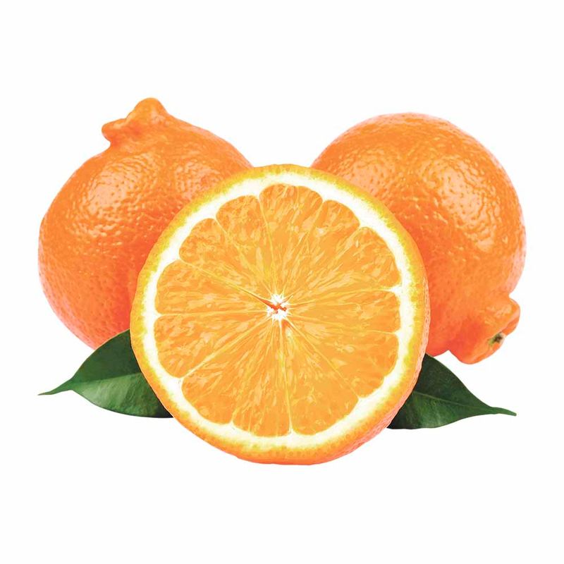 image-5fa9f2e7f29c4b449afc56b95cf8db29