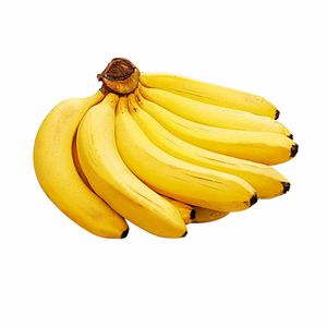 Plátano de Seda