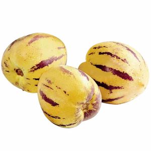Pepino Melón