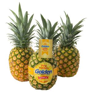 Piña Golden Madura
