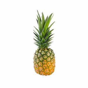 Piña Golden