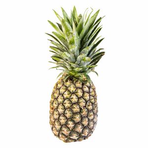 Piña Golden