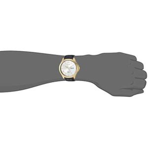 Reloj de Lujo Citizen Bf2003-25A para Hombre en Marrón