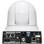image-cf1860c641a944fea59a1918fa4f6584