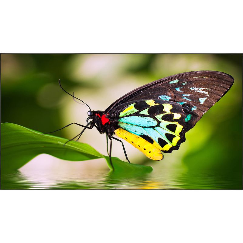 image-d0f35336d7384230865007f5b295459a