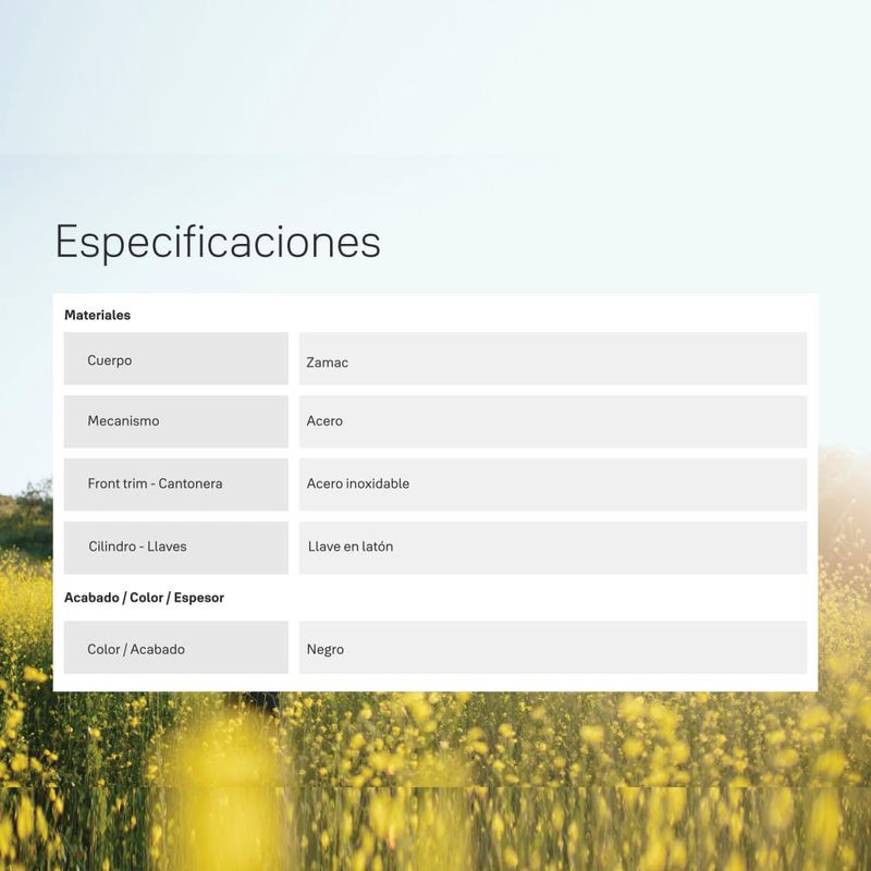 image-65eaa812e2564c869df59d2b19d2c99f
