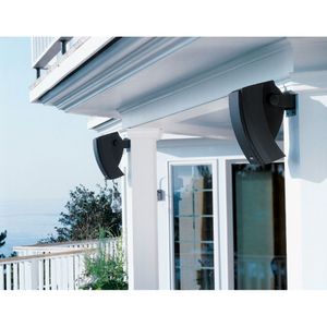 Altavoces Ambientales Exteriores Bose 251 Negro