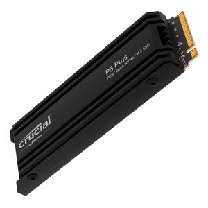 Ssd Interno M.2 Pcie 4.0 X4 Crucial P5 Plus de 2Tb