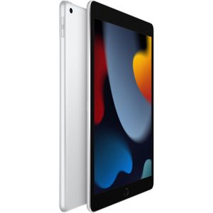 Tableta Apple Ipad 9Na Generación 10.2 64Gb Wi Fi Únicamente Plata
