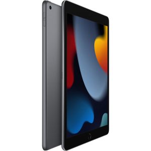 Tableta Apple Ipad 9na Generación de 10.2 64Gb Wifi Solo Color Gris Espacial