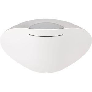 Altavoz Inalámbrico Formation Wedge de Bowers Wilkins Plata