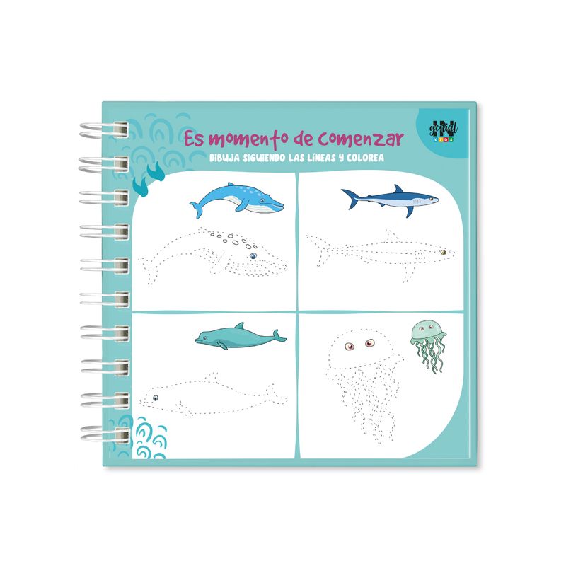 image-c3524319af924ecbad8ab457facc1660
