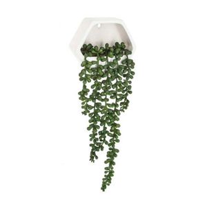 Planta colgante de pared