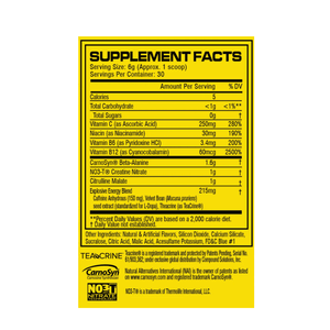 C4 Original Fruit Punch 60 Servings