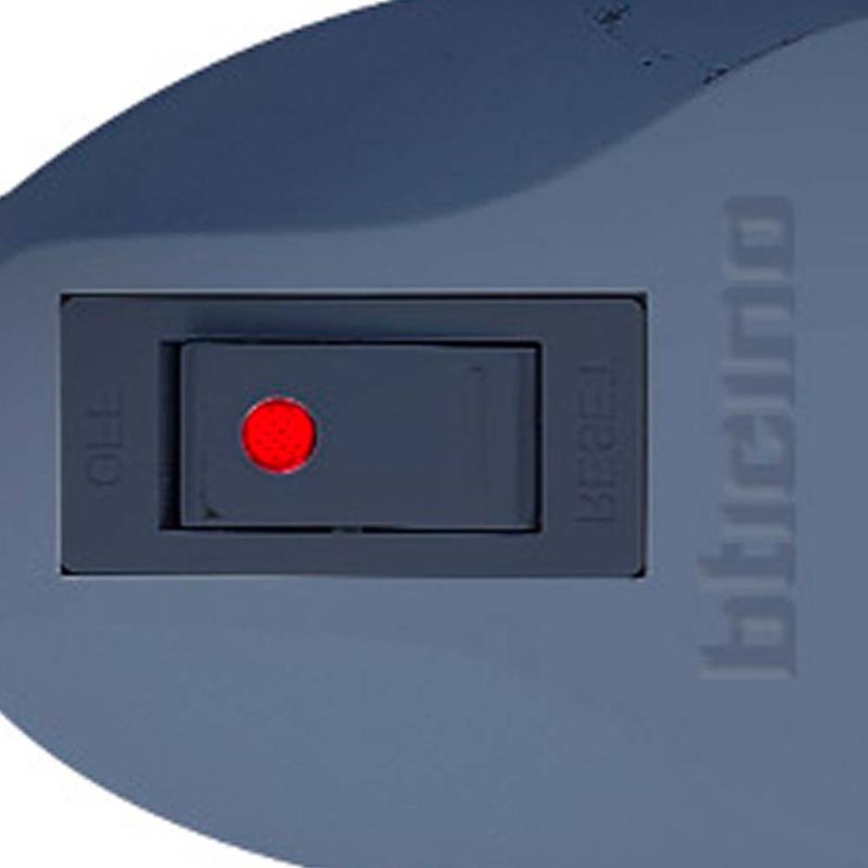 image-9ee81e3d0a2d4817bbaa7feedb1813f8