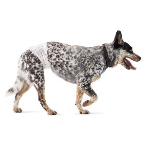 Pañales Desechables para Perro Talla M 30 Und.