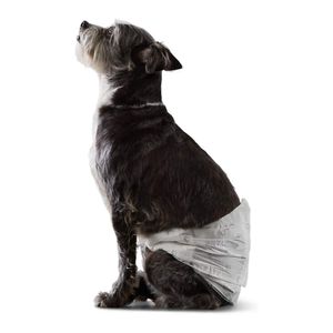 Pañales Desechables para Perros Talla S 30 Und.