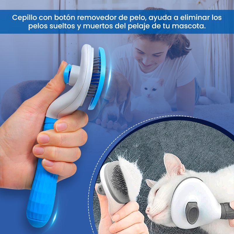 image-cb3d3756ca734500b5c3f4ea18cdf710
