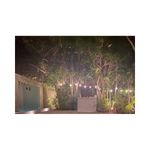 image-b14dfc50194b4a1aa1d8dadb0aa59150