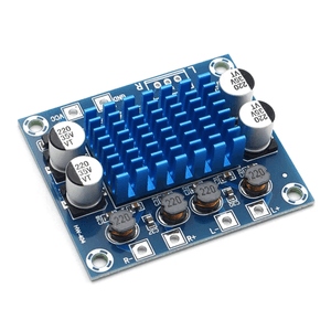 Placa Amplificador Potencia Estéreo 60w Tpa3110
