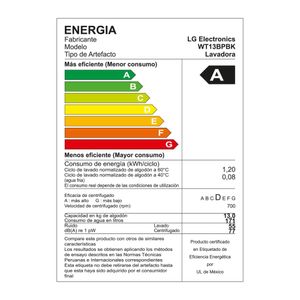 Lavadora LG Carga Superior 13 Kg WT13BPBK Negro claro