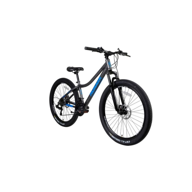 Bicicletas monark best sale en oechsle