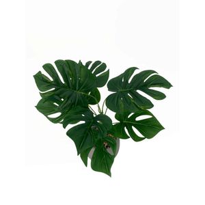 Planta Monstera 40 cm