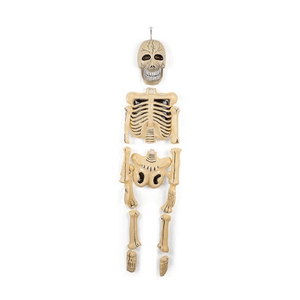 Esqueleto de Plástico para Decoración