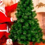 image-11f5d186b2664c07ab26cd7dbdfb96bd