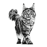 imageUrl_5