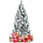 imageUrl_6