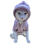 imageUrl_2