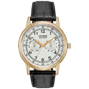 Reloj Citizen Eco Drive Corso AO9003-16A Solar Para Hombre Fecha Correa de Cuero Negro Dorado
