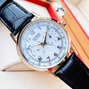 Reloj Citizen Eco Drive Corso AO9003-16A Solar Para Hombre Fecha Correa de Cuero Negro Dorado