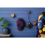 imageUrl_17
