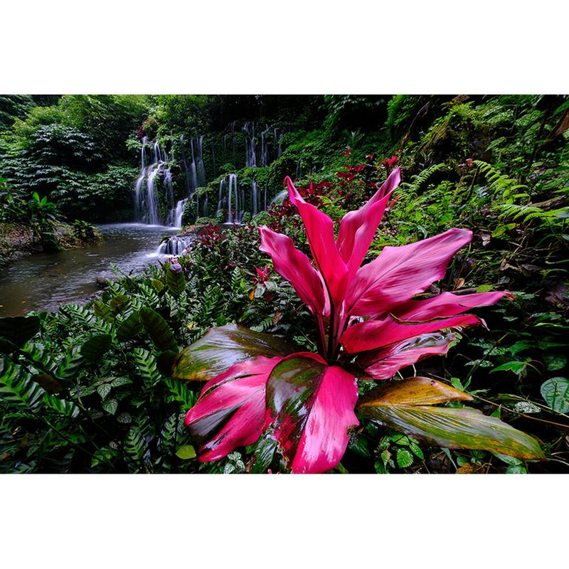 imageUrl_29